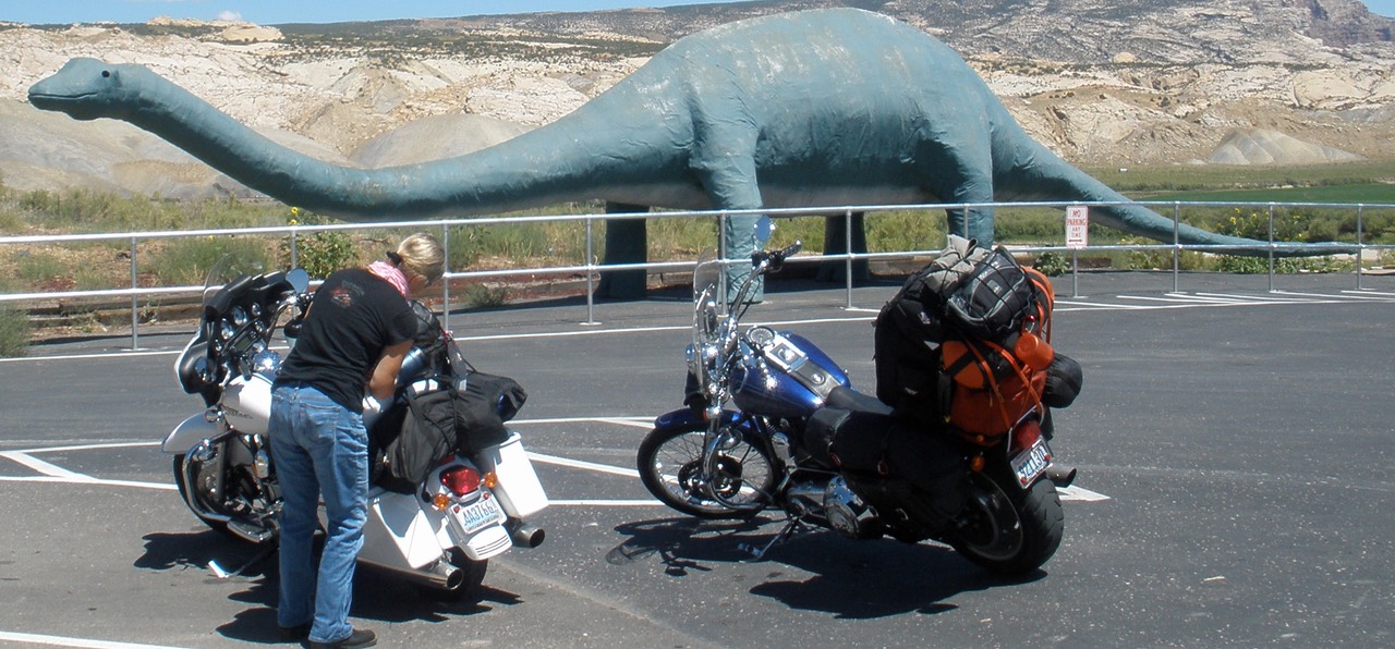 Dinosaur NM