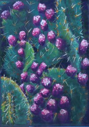 Prickly Pear  XX