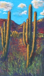 Saguaro sm