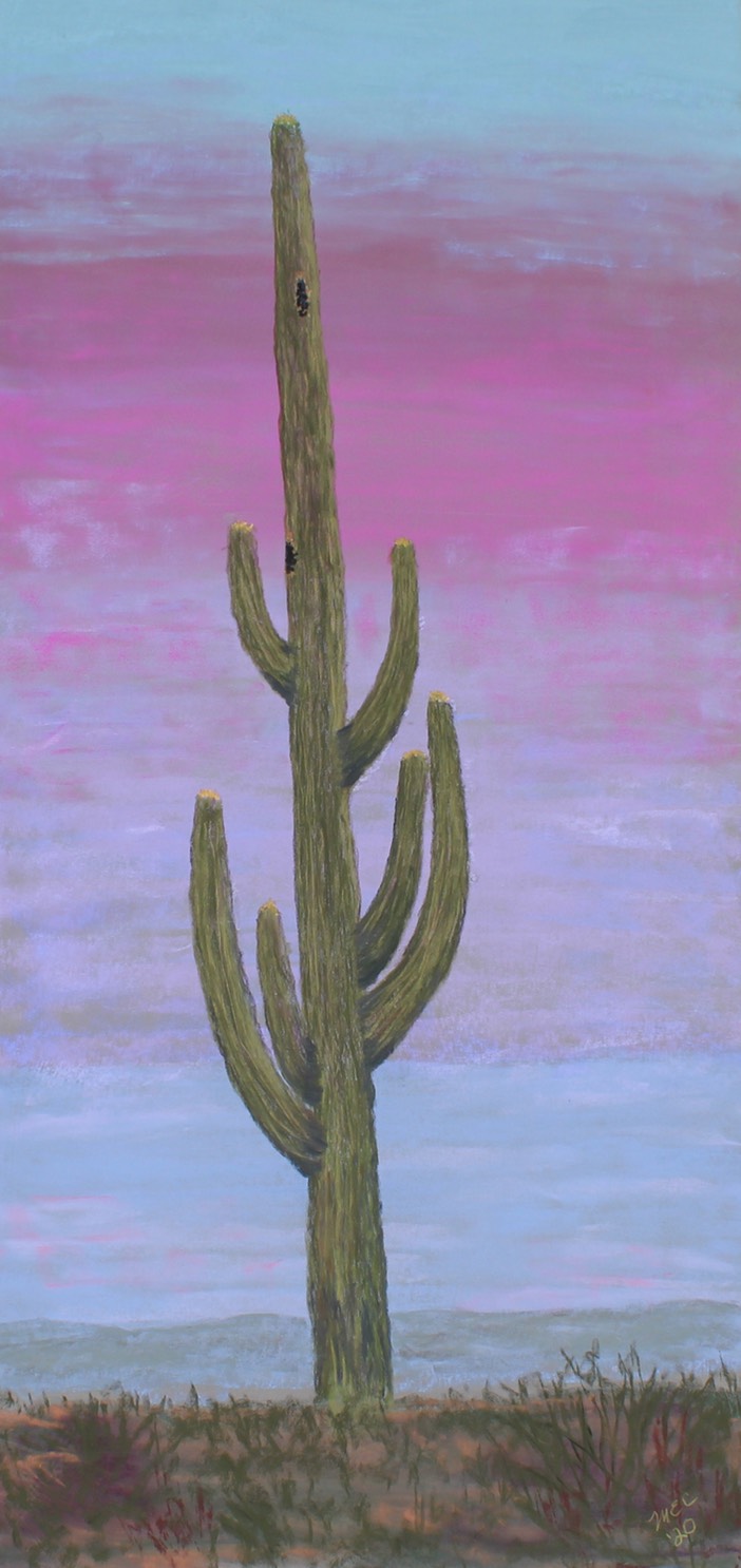 Saguaro